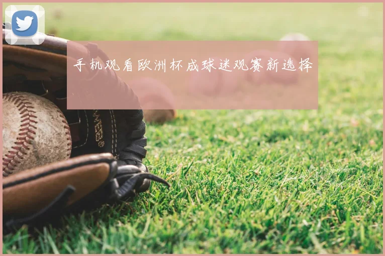 手机观看欧洲杯成球迷观赛新选择