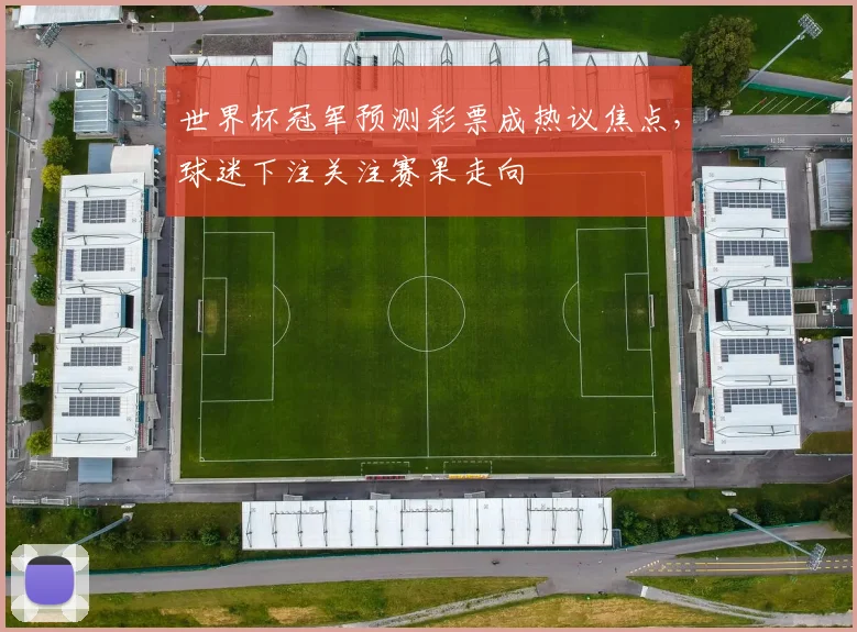 世界杯冠军预测彩票成热议焦点，球迷下注关注赛果走向