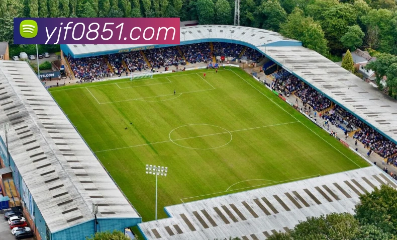 世界杯开户平台平台生态图